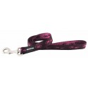 Matis Pet Doggy Paws Leash